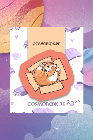 Separador Gato Naranja En Caja